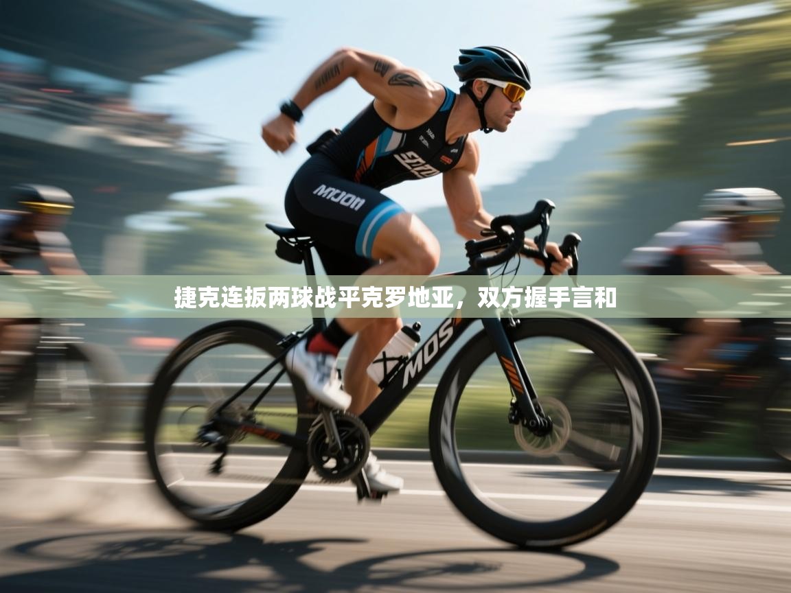 捷克连扳两球战平克罗地亚，双方握手言和  第2张