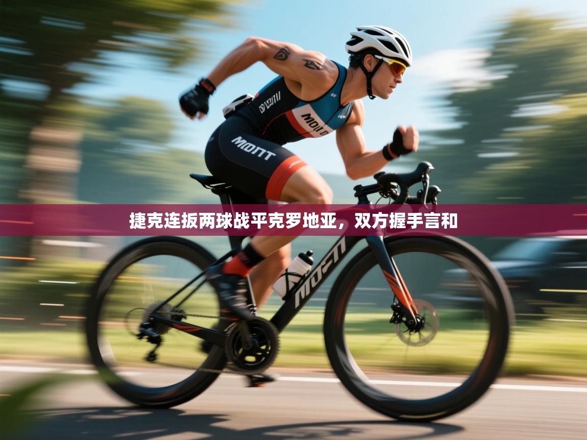 捷克连扳两球战平克罗地亚，双方握手言和  第1张