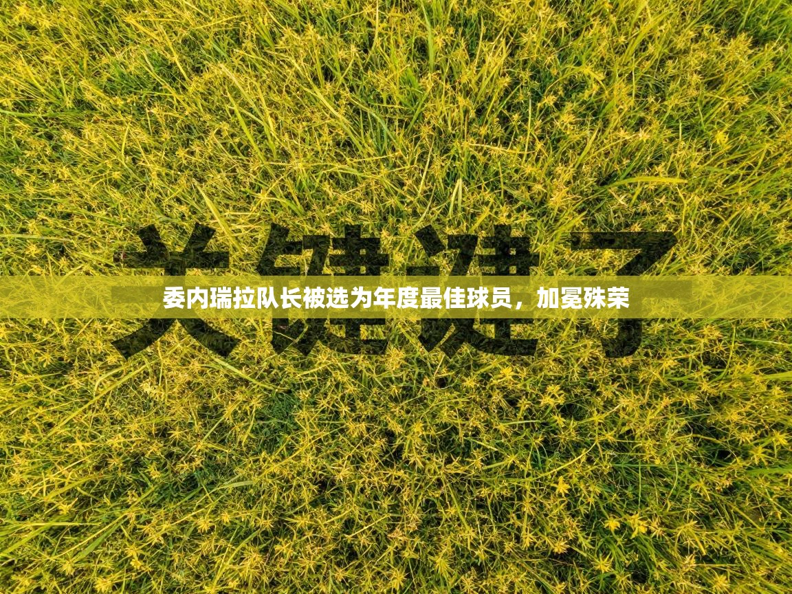 委内瑞拉队长被选为年度最佳球员,加冕殊荣 第2张