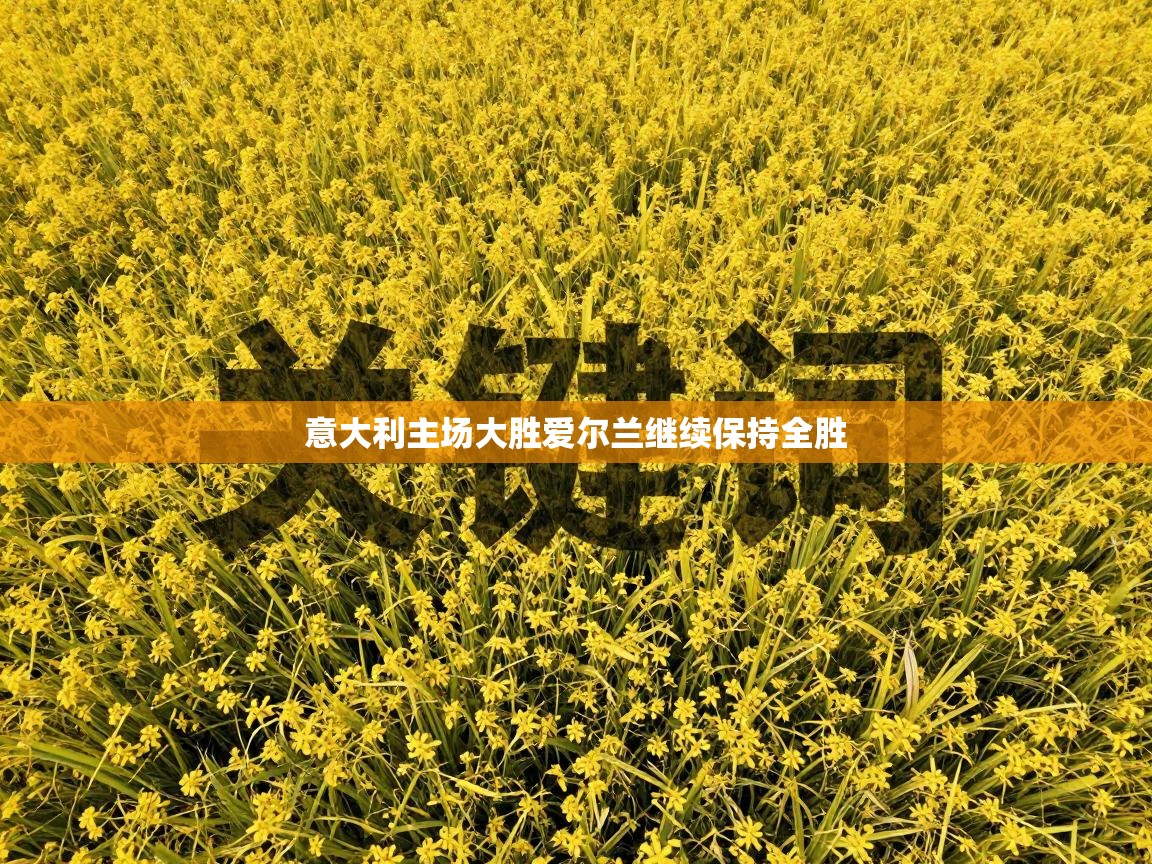 意大利主场大胜爱尔兰继续保持全胜 第1张