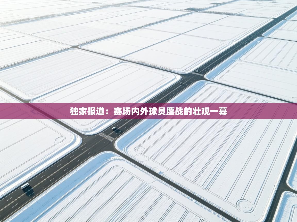 独家报道:赛场内外球员鏖战的壮观一幕 第1张