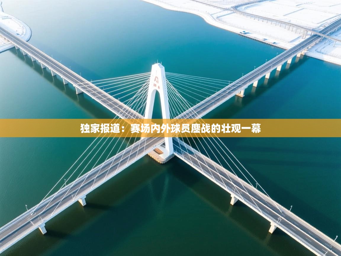 独家报道:赛场内外球员鏖战的壮观一幕 第2张