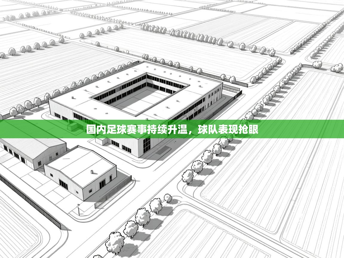 国内足球赛事持续升温,球队表现抢眼 第2张
